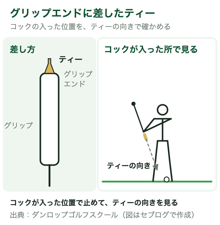 グリップエンドに差したティーの向きの図:グリップのいちばん端にティーを差し、コックが入った位置で止めてティーの向きを見る