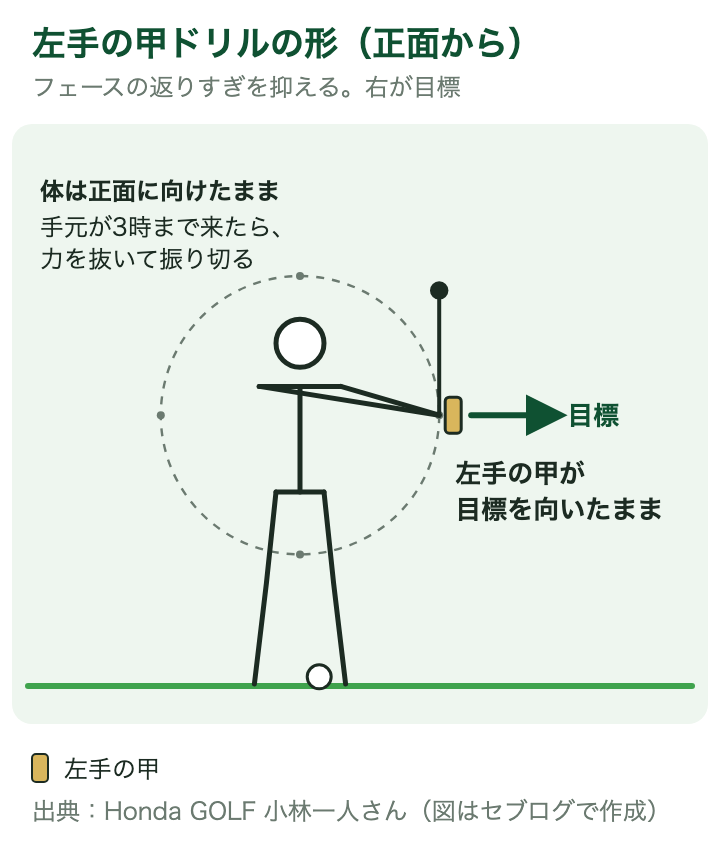 左手の甲ドリルの形:体は正面のまま、手元が3時のフォローで左手の甲が目標を向いている形